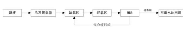 養(yǎng)豬場污水處理方法 養(yǎng)豬場廢水處理設備的應用(圖3)