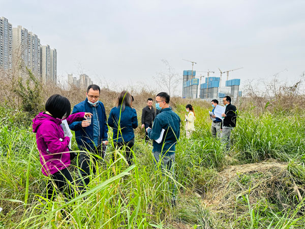 樂從小布村原鋼鐵市場一地塊通過專家評(píng)審